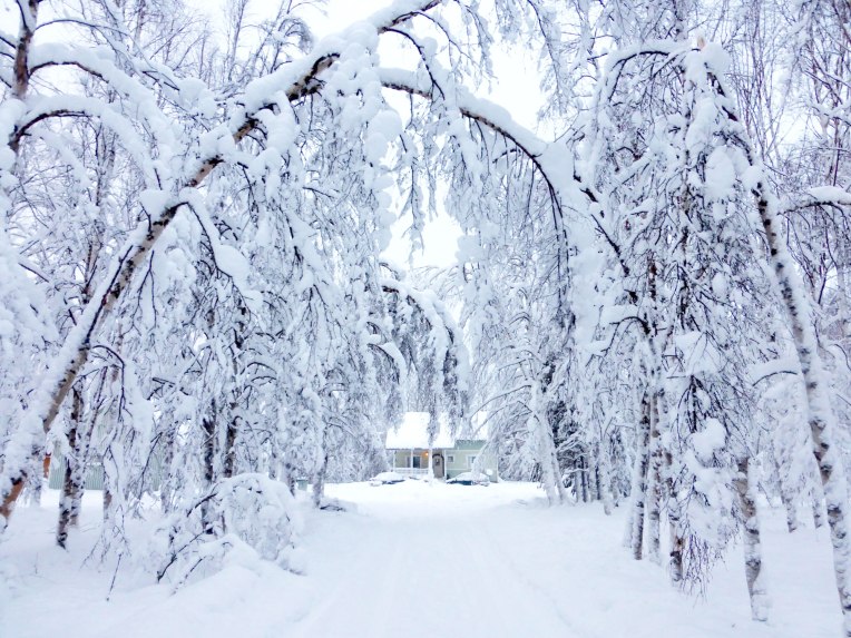 16195927698_2199d56bfc_o